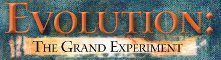 Evolution:  The Grand Experiment