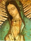 Our Lady of Guadalupe and Miraculous Mexico